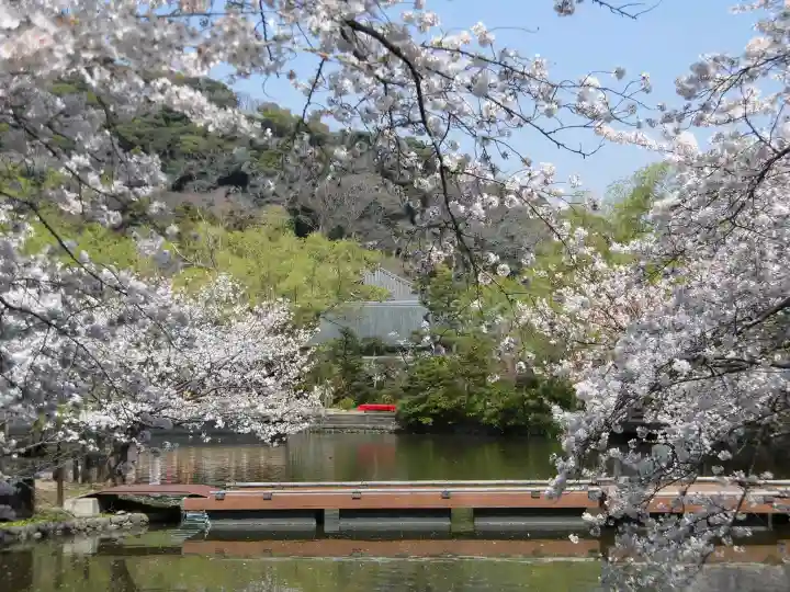 鶴岡八幡宮の{uncategorized: "未分類", other: "その他", undefined: "問題あり", building: "その他建物", grave: "お墓", sacred_gate: "鳥居", guardian: "狛犬", statue: "像", buddha: "仏像", history: "歴史", nature: "自然", garden: "庭園", animal: "動物", pagoda: "塔", temizu: "手水舎", mountain_gate: "山門・神門", sanctuary: "本殿・本堂", subordinate: "末社・摂社", art: "芸術", scenery: "景色", jizo: "地蔵", ema: "絵馬", goshuin: "御朱印", omikuji: "おみくじ", items: "授与品その他", amulet: "お守り", goshuincho: "御朱印帳", eats: "食事", festival: "お祭り", votive_dance: "神楽", shichigosan: "七五三参", wedding: "結婚式", experience: "体験その他", initially: "初詣", around: "周辺", anti_infection: "感染症対策"}