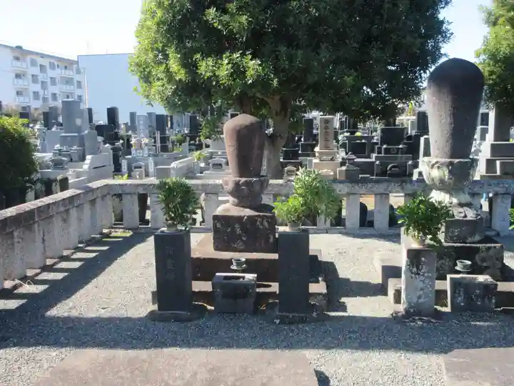 松蔭寺(静岡県)