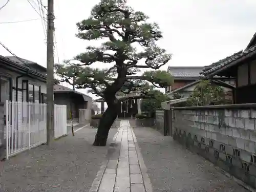都久生須麻神社(滋賀県)
