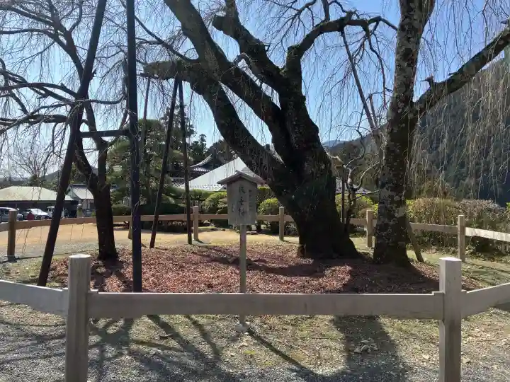 久遠寺の{uncategorized: "未分類", other: "その他", undefined: "問題あり", building: "その他建物", grave: "お墓", sacred_gate: "鳥居", guardian: "狛犬", statue: "像", buddha: "仏像", history: "歴史", nature: "自然", garden: "庭園", animal: "動物", pagoda: "塔", temizu: "手水舎", mountain_gate: "山門・神門", sanctuary: "本殿・本堂", subordinate: "末社・摂社", art: "芸術", scenery: "景色", jizo: "地蔵", ema: "絵馬", goshuin: "御朱印", omikuji: "おみくじ", items: "授与品その他", amulet: "お守り", goshuincho: "御朱印帳", eats: "食事", festival: "お祭り", votive_dance: "神楽", shichigosan: "七五三参", wedding: "結婚式", experience: "体験その他", initially: "初詣", around: "周辺", anti_infection: "感染症対策"}