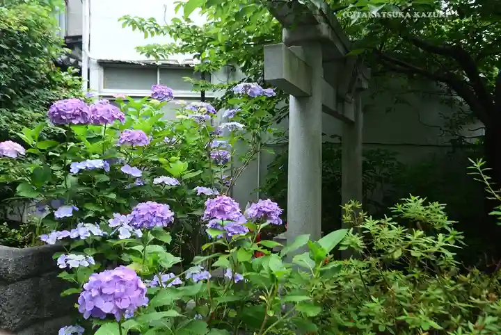 弘明寺(神奈川県)
