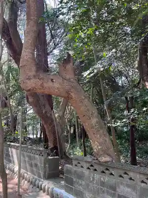 鎌田神明宮(静岡県)