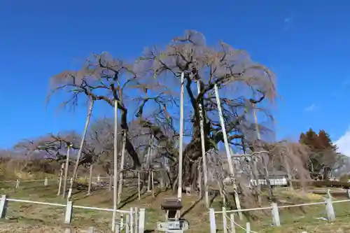 瀧桜神明宮の景色