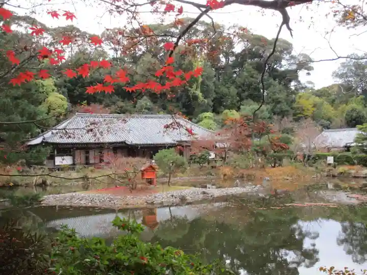 浄瑠璃寺(京都府)