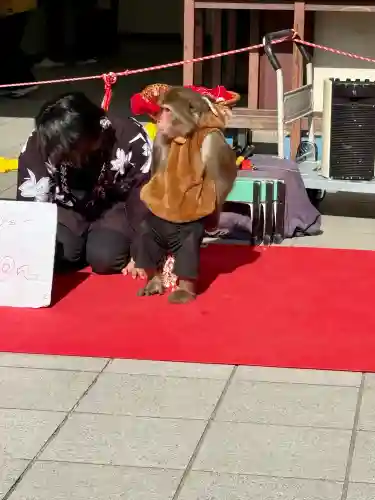 川崎大師（平間寺）の{uncategorized: "未分類", other: "その他", undefined: "問題あり", building: "その他建物", grave: "お墓", sacred_gate: "鳥居", guardian: "狛犬", statue: "像", buddha: "仏像", history: "歴史", nature: "自然", garden: "庭園", animal: "動物", pagoda: "塔", temizu: "手水舎", mountain_gate: "山門・神門", sanctuary: "本殿・本堂", subordinate: "末社・摂社", art: "芸術", scenery: "景色", jizo: "地蔵", ema: "絵馬", goshuin: "御朱印", omikuji: "おみくじ", items: "授与品その他", amulet: "お守り", goshuincho: "御朱印帳", eats: "食事", festival: "お祭り", votive_dance: "神楽", shichigosan: "七五三参", wedding: "結婚式", experience: "体験その他", initially: "初詣", around: "周辺", anti_infection: "感染症対策"}