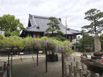 葛井寺のその他建物