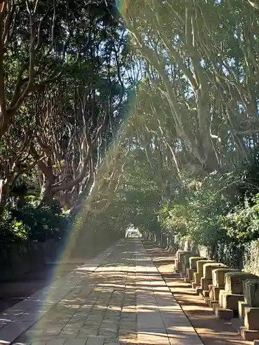 酒列磯前神社の景色