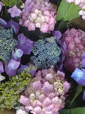 草薙神社(静岡県)