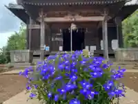 伏木香取神社の自然