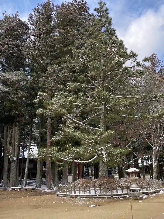 壇上伽藍(和歌山県)