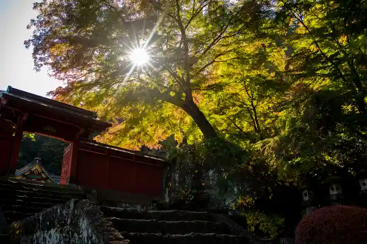 妙義神社の自然