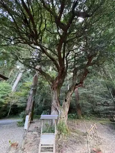 小國神社(静岡県)