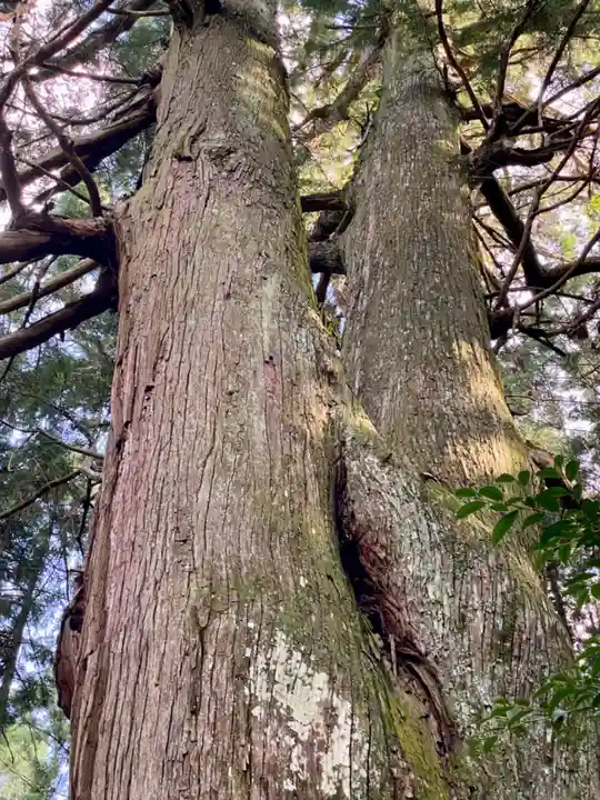 黒瀧神社(三重県)
