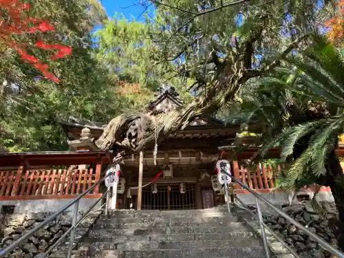 白岩丹生神社の本殿・本堂