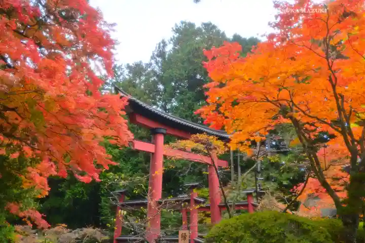 北口本宮冨士浅間神社(山梨県)