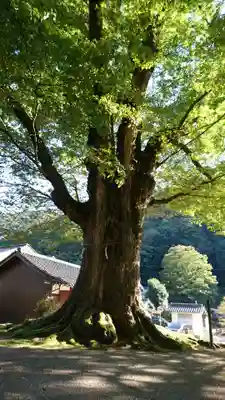 石部神社のその他建物