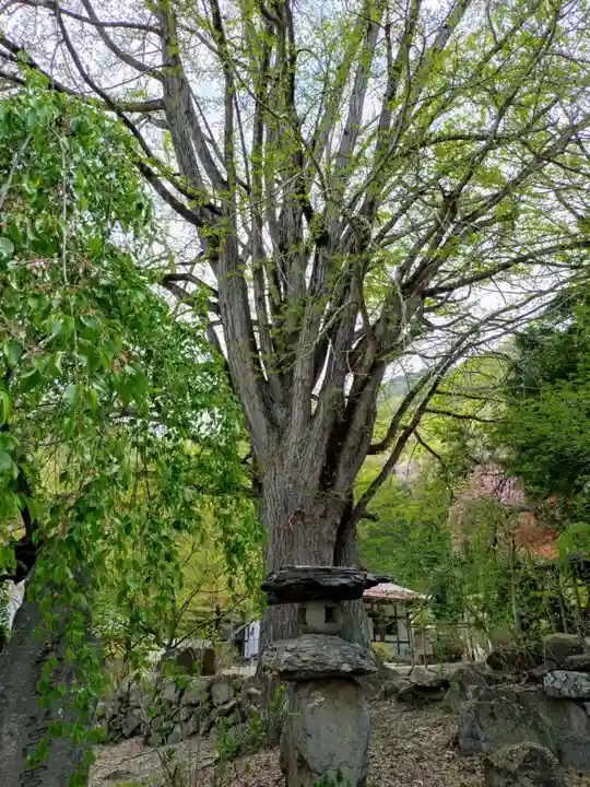 浄光寺(長野県)