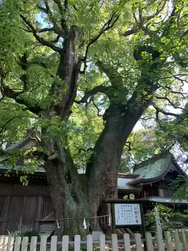 春日神社の庭園