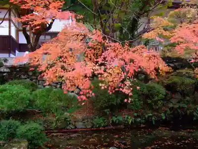 大寧寺(山口県)