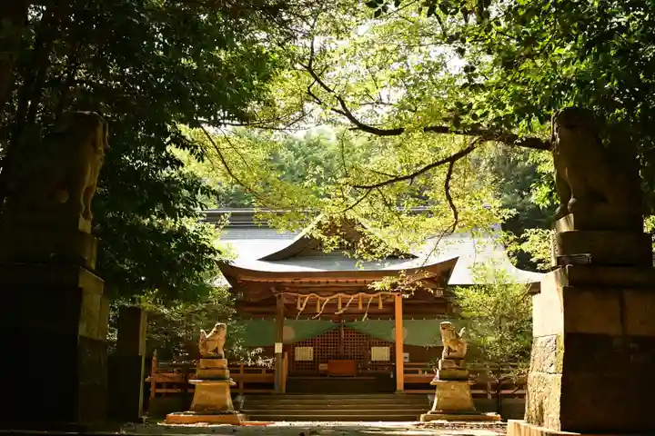 天石門別八倉比売神社(徳島県)