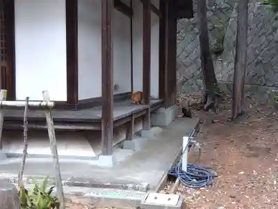 平林寺(兵庫県)