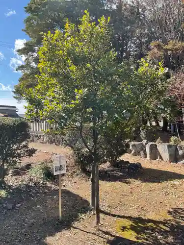 井出神社の庭園
