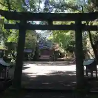 綾神社の鳥居