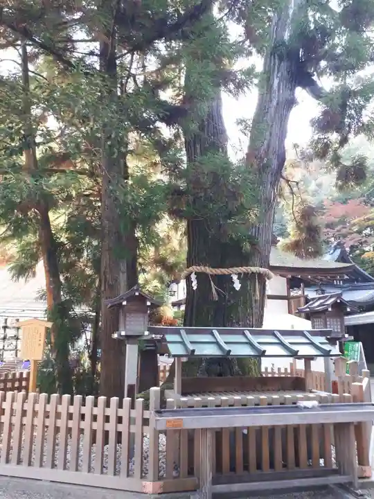 大神神社(奈良県)