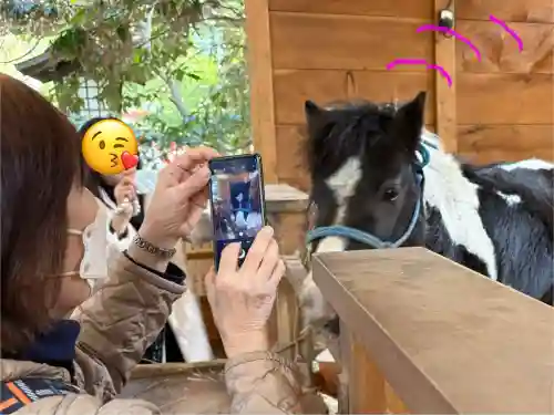 平塚八幡宮(神奈川県)