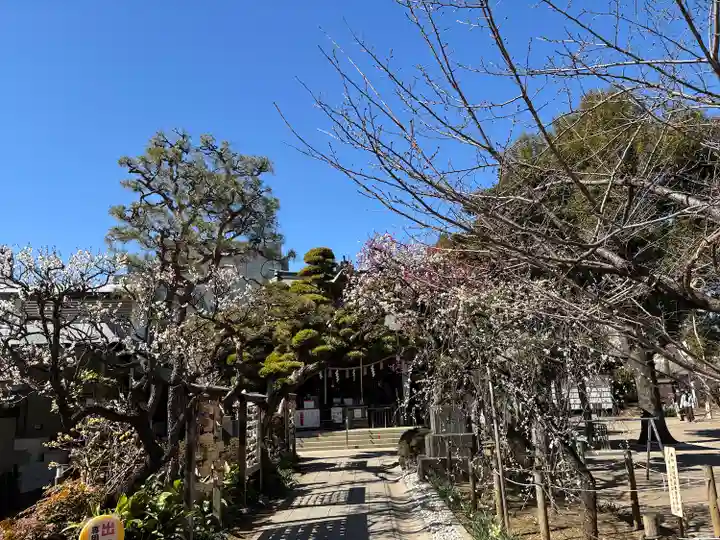鳩森八幡神社(東京都)