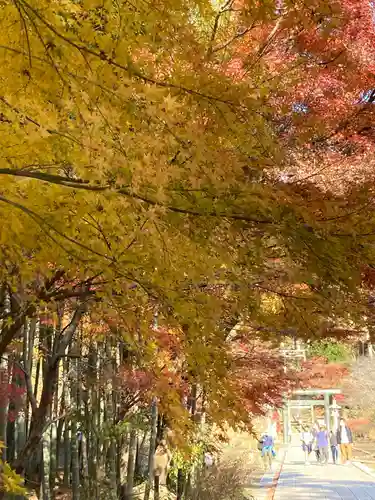 建長寺 半僧坊の景色