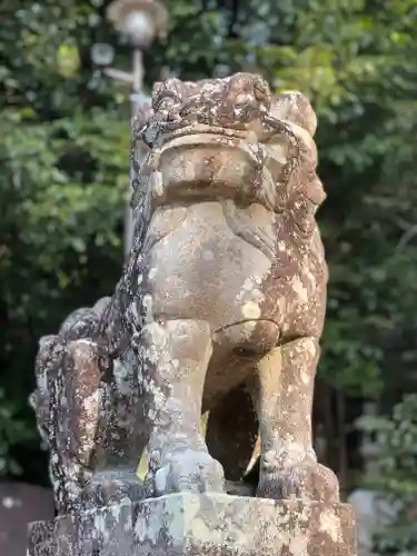 宇治上神社の狛犬