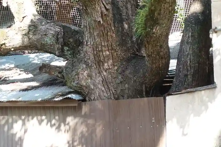原田神社のその他建物