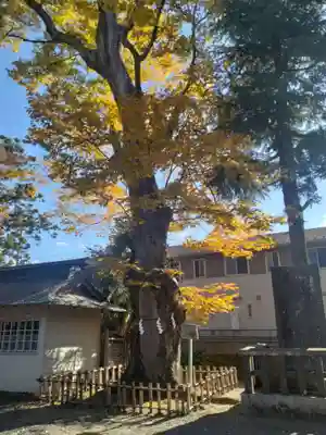 竹駒神社(宮城県)