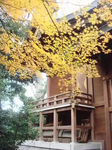 鎮守氷川神社の自然