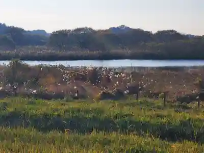 妙音寺(茨城県)