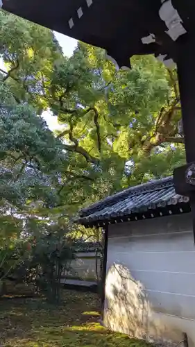 青蓮院門跡(京都府)