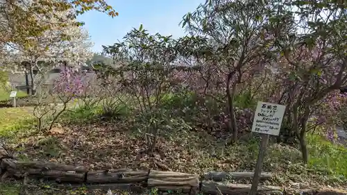 本別神社の自然