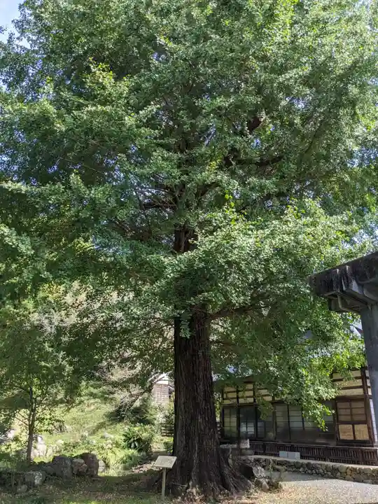 大福寺(静岡県)