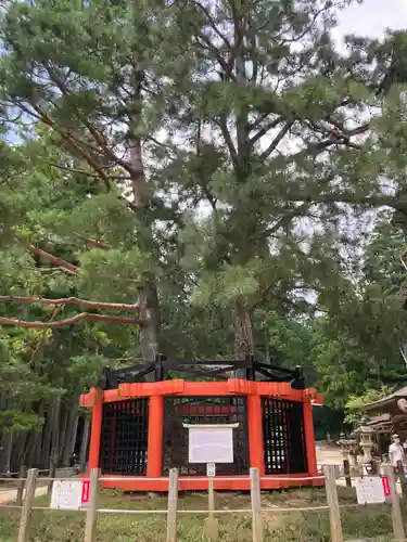 壇上伽藍(和歌山県)