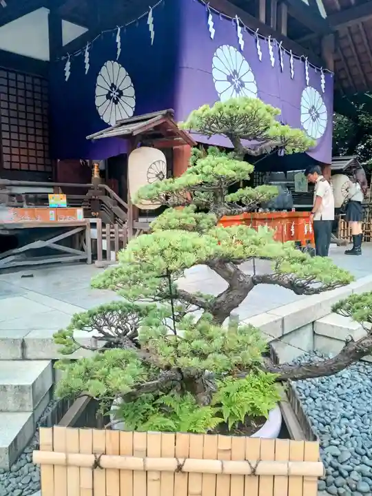 東京大神宮(東京都)