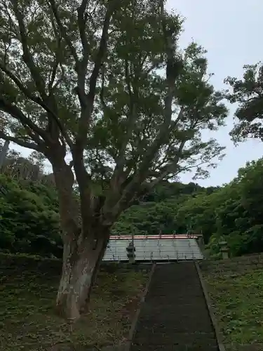 大宮神社のその他建物