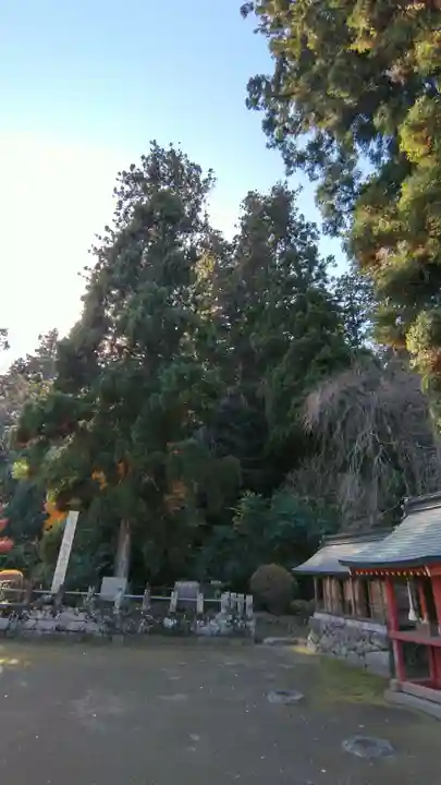 妙義神社(群馬県)