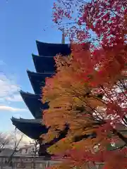 東寺（教王護国寺）(京都府)