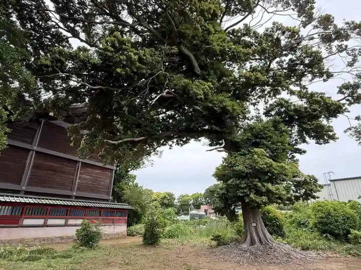 秋葉神社の{uncategorized: "未分類", other: "その他", undefined: "問題あり", building: "その他建物", grave: "お墓", sacred_gate: "鳥居", guardian: "狛犬", statue: "像", buddha: "仏像", history: "歴史", nature: "自然", garden: "庭園", animal: "動物", pagoda: "塔", temizu: "手水舎", mountain_gate: "山門・神門", sanctuary: "本殿・本堂", subordinate: "末社・摂社", art: "芸術", scenery: "景色", jizo: "地蔵", ema: "絵馬", goshuin: "御朱印", omikuji: "おみくじ", items: "授与品その他", amulet: "お守り", goshuincho: "御朱印帳", eats: "食事", festival: "お祭り", votive_dance: "神楽", shichigosan: "七五三参", wedding: "結婚式", experience: "体験その他", initially: "初詣", around: "周辺", anti_infection: "感染症対策"}