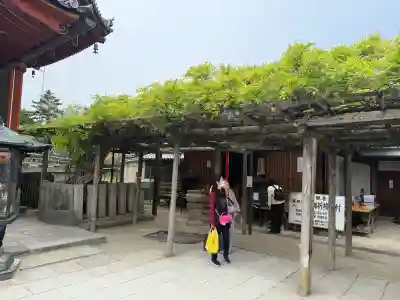 興福寺　一言観音堂の{uncategorized: "未分類", other: "その他", undefined: "問題あり", building: "その他建物", grave: "お墓", sacred_gate: "鳥居", guardian: "狛犬", statue: "像", buddha: "仏像", history: "歴史", nature: "自然", garden: "庭園", animal: "動物", pagoda: "塔", temizu: "手水舎", mountain_gate: "山門・神門", sanctuary: "本殿・本堂", subordinate: "末社・摂社", art: "芸術", scenery: "景色", jizo: "地蔵", ema: "絵馬", goshuin: "御朱印", omikuji: "おみくじ", items: "授与品その他", amulet: "お守り", goshuincho: "御朱印帳", eats: "食事", festival: "お祭り", votive_dance: "神楽", shichigosan: "七五三参", wedding: "結婚式", experience: "体験その他", initially: "初詣", around: "周辺", anti_infection: "感染症対策"}