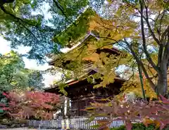 豪徳寺(東京都)