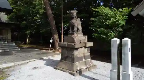 江別神社の狛犬