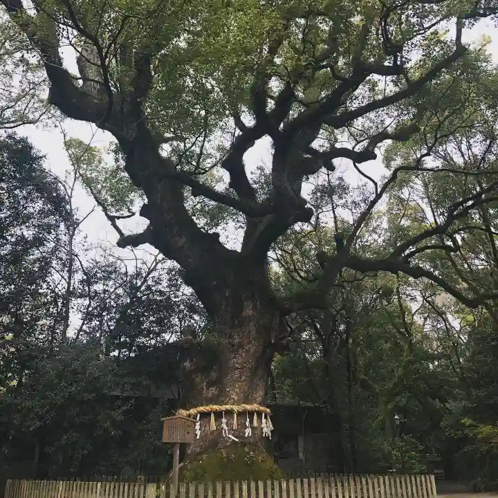 熱田神宮の自然