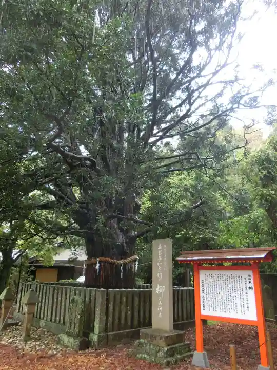 熊野速玉大社の自然